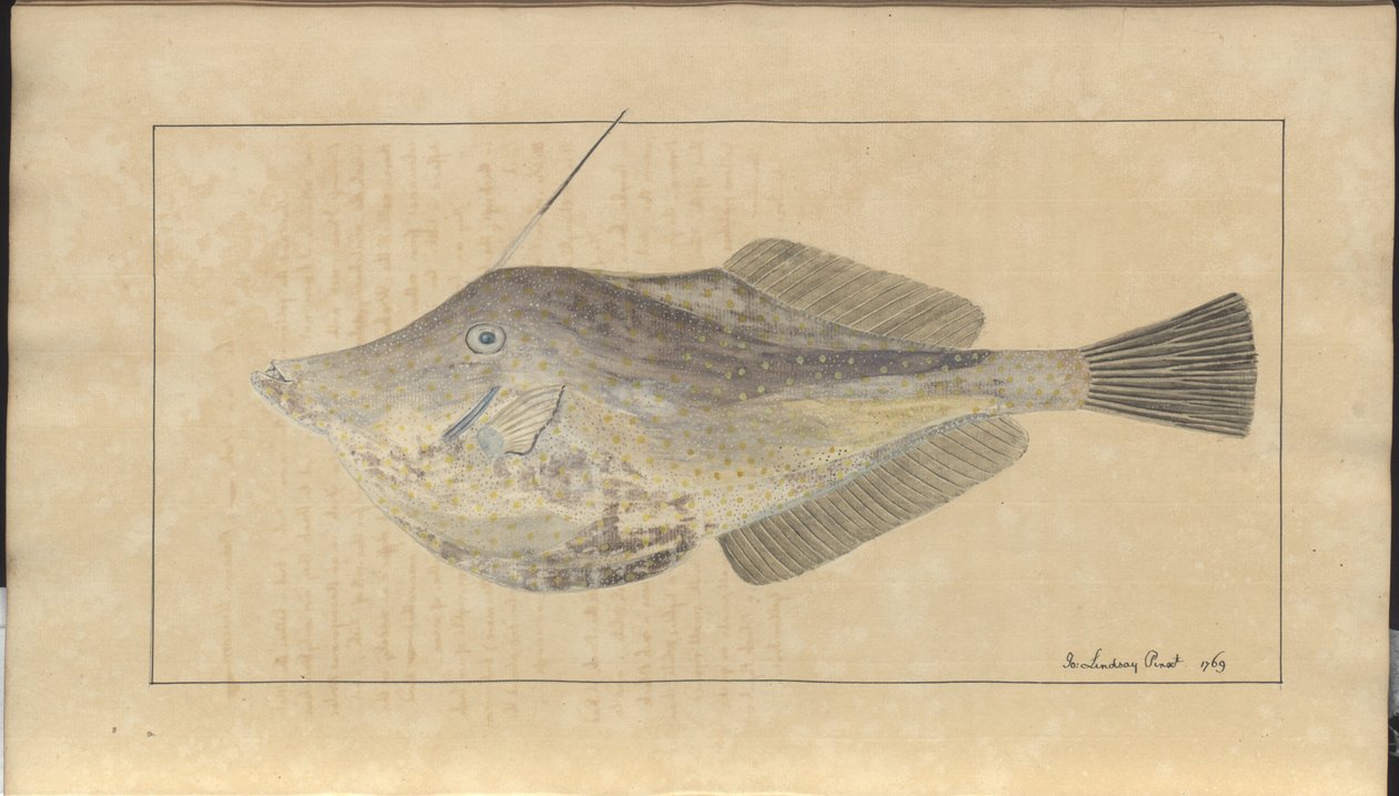 Lindsay Drawings Vol. VII, 7 af John Lindsay