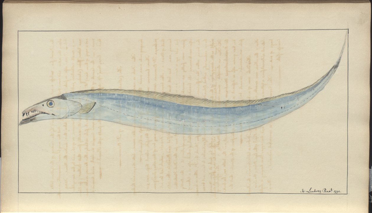 Lindsay Drawings Vol. VII, 9 af John Lindsay
