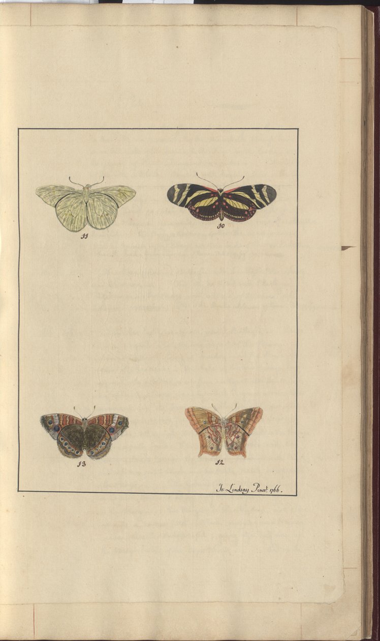 Lindsay Drawings Vol. VI, 36 af John Lindsay