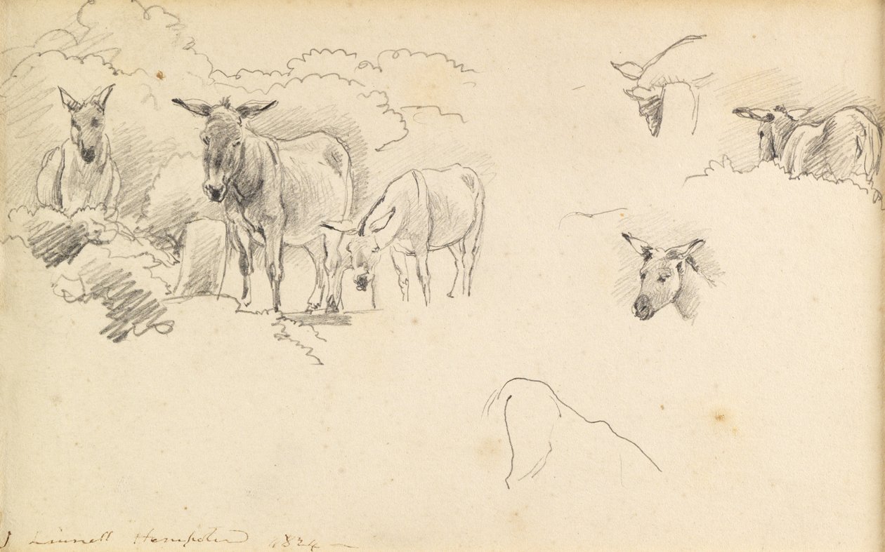 Æsler, 1824 af John Linnell