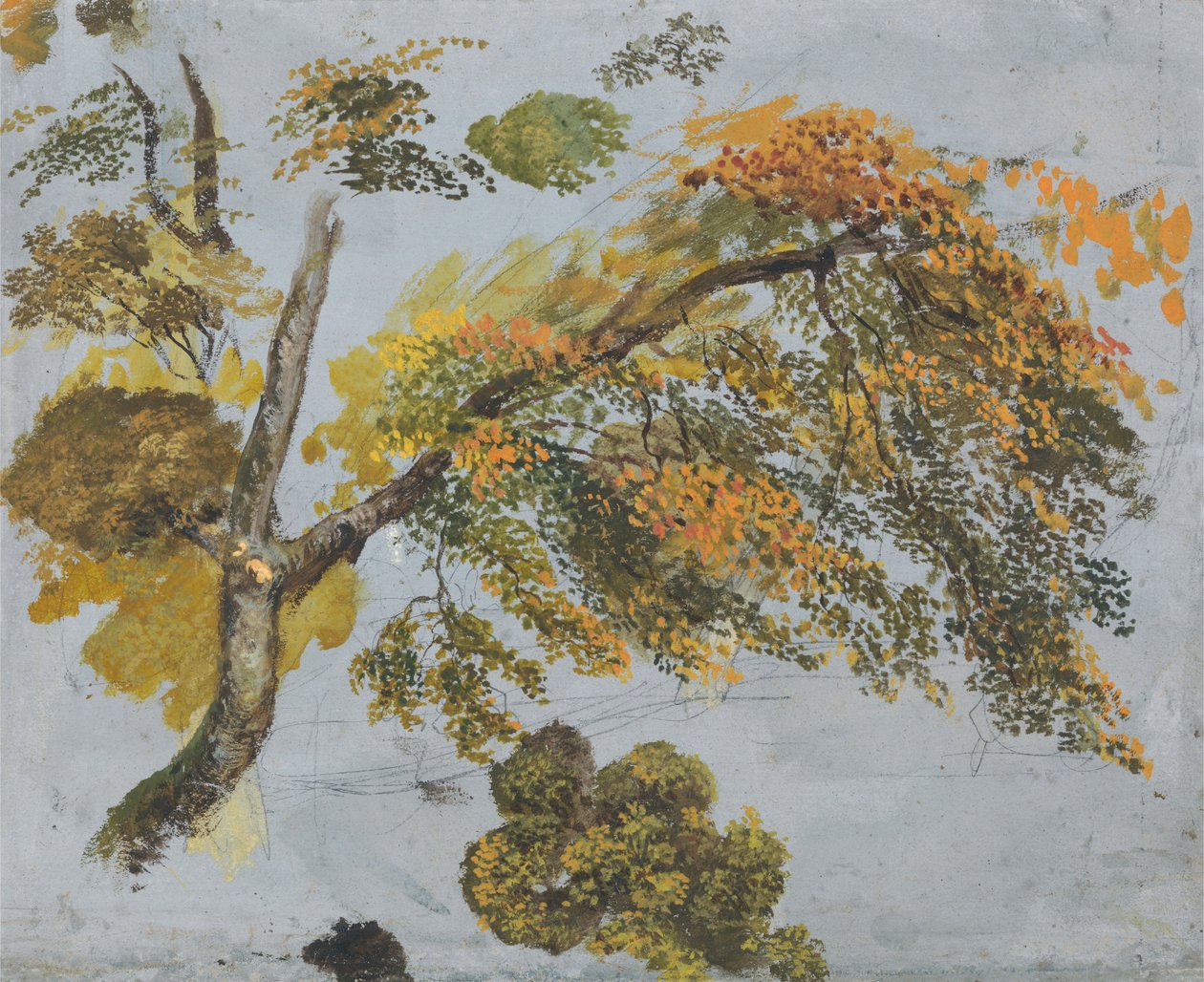 Baumstudie (Herbstlaub) af John Linnell