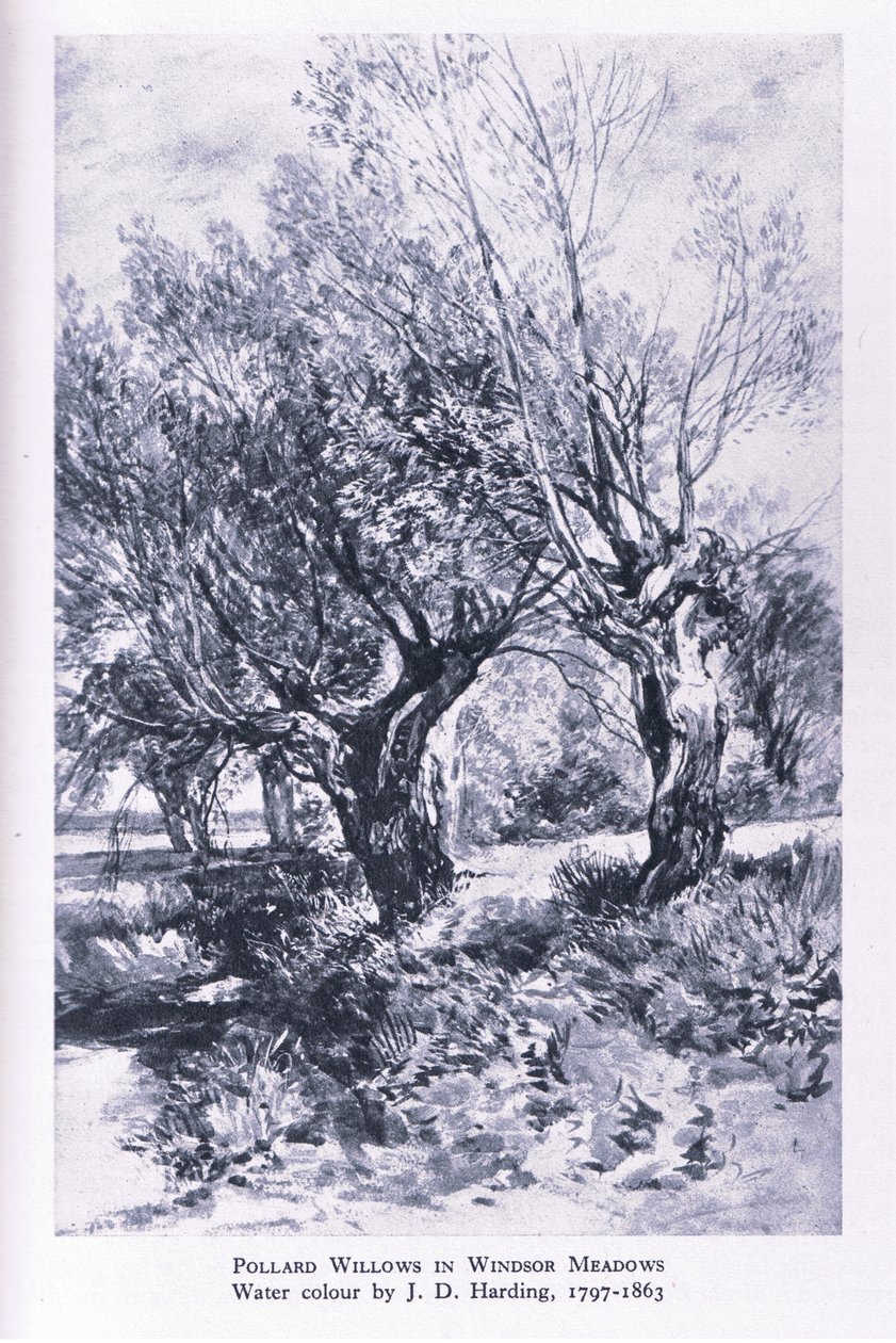 Træhuggere i udkanten af Windsor Forest, Nature in Britain udgivet af Collins af John Linnell