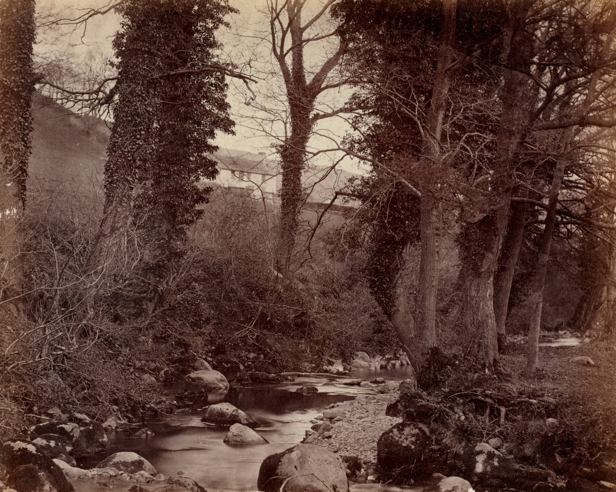 Uden titel, c. 1859. af John Lloyd
