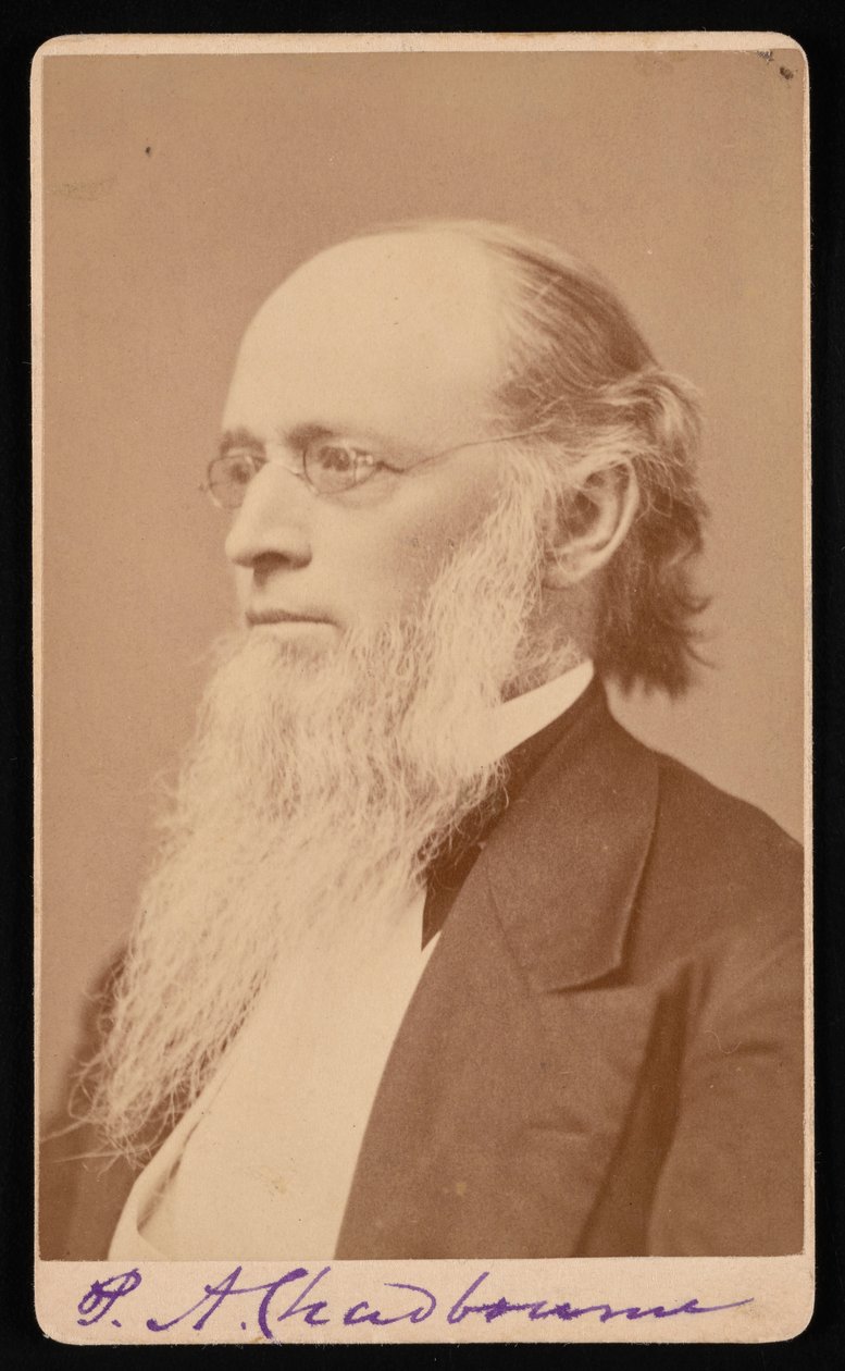 Portræt af Paul Ansel Chadbourne 1823-1883, mellem 1872 og 1875. af John Lyman Lovell