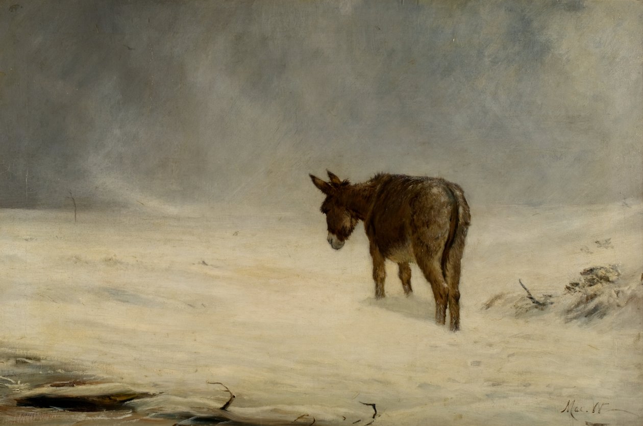 Et æsel i sne af John MacWhirter
