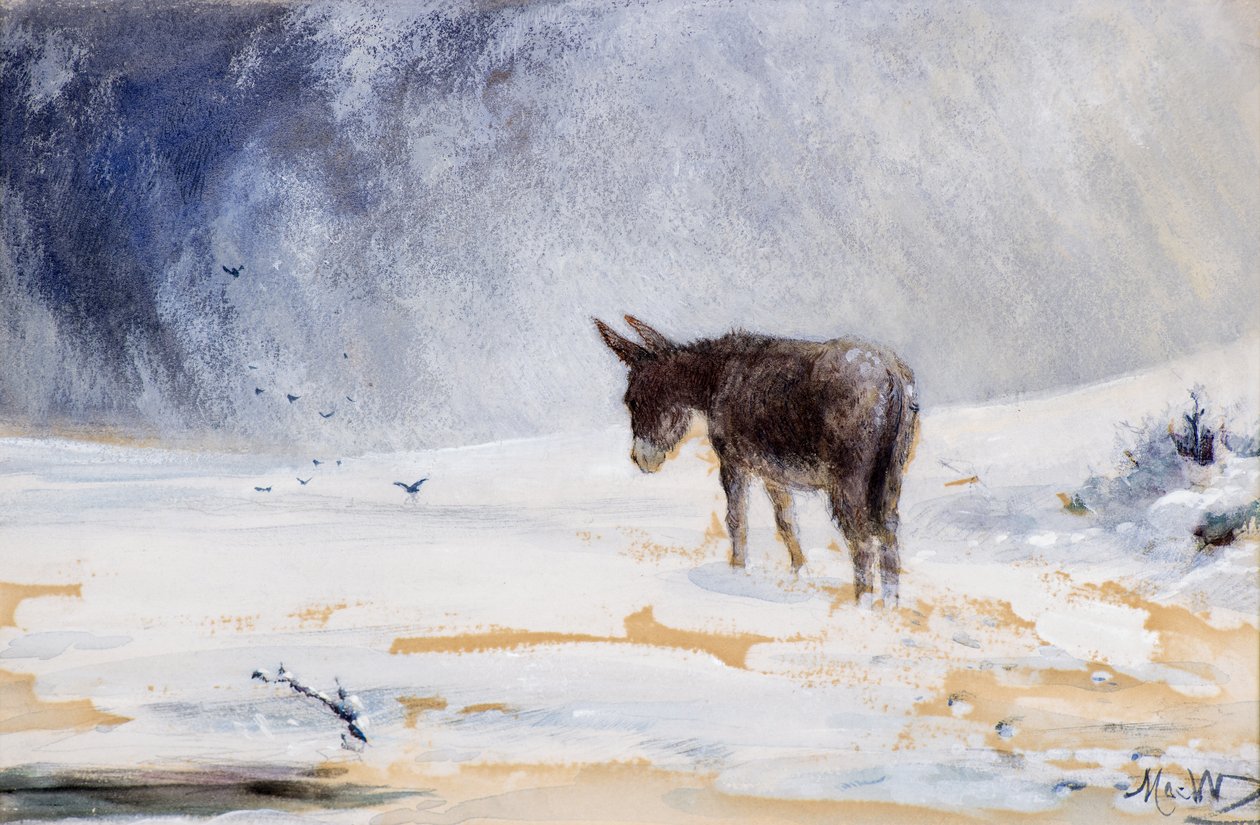 Æsel i sne af John MacWhirter