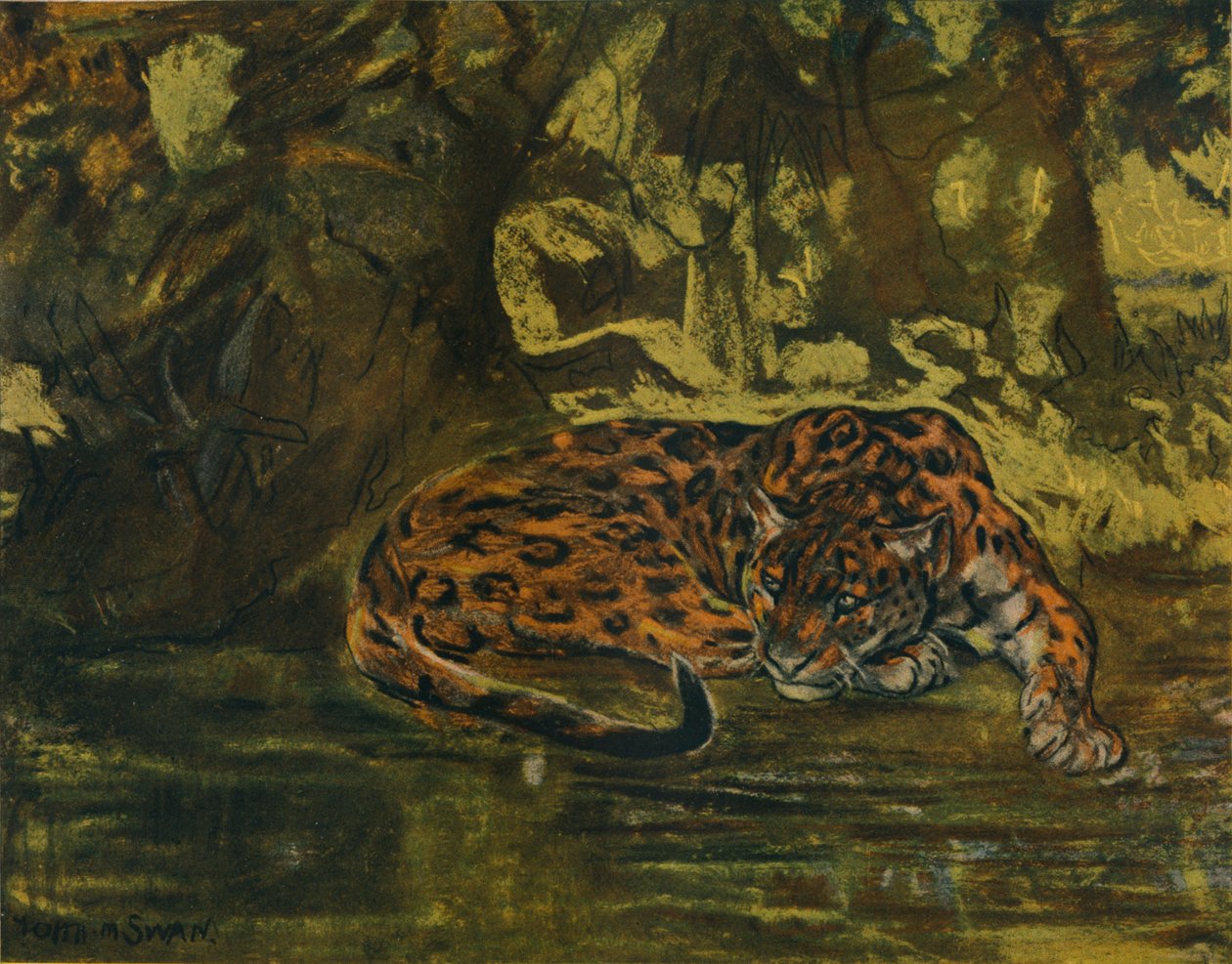 En Jaguar, c1900 af John Macallan Swan