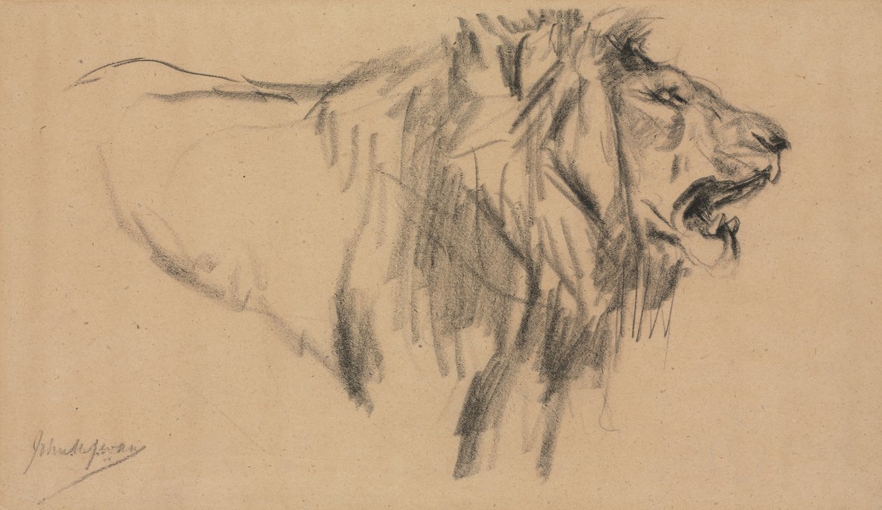 Løve af John Macallan Swan