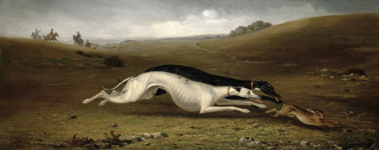 Hare i et landskab, 1870 af John Marshall