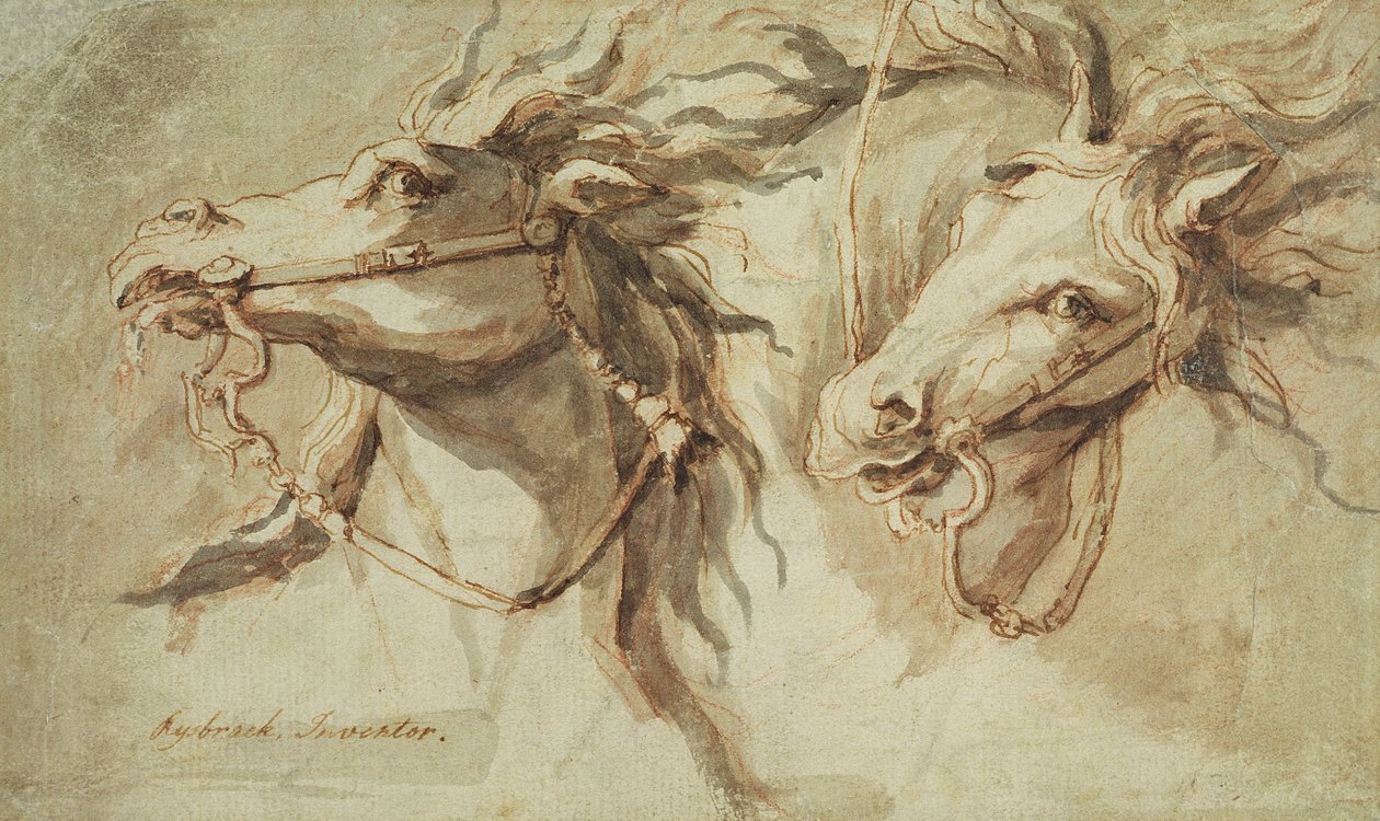 To hestehoveder (pen, blæk og vask med rødt kridt på brunpapir) af John Michael Rysbrack