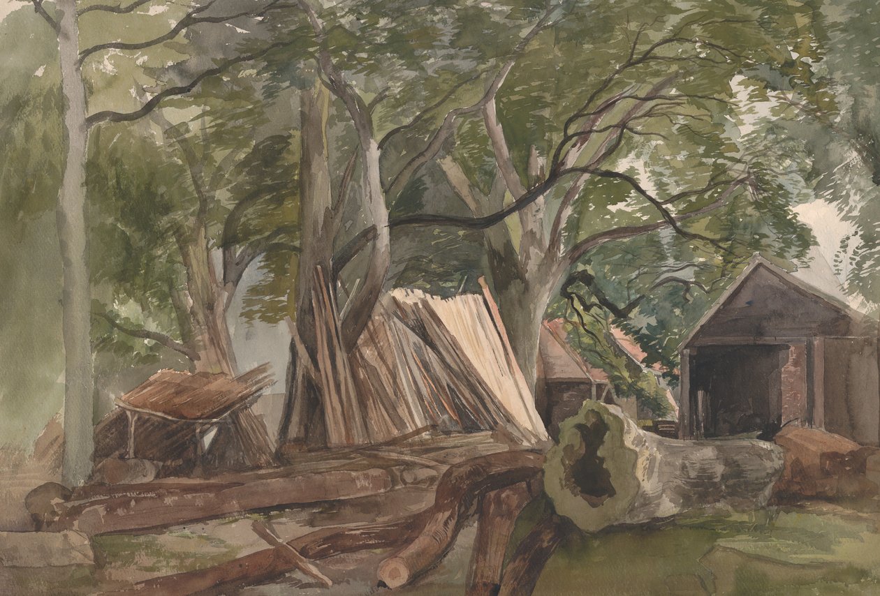 Rydning med tømmermølle, 1847. af John Middleton