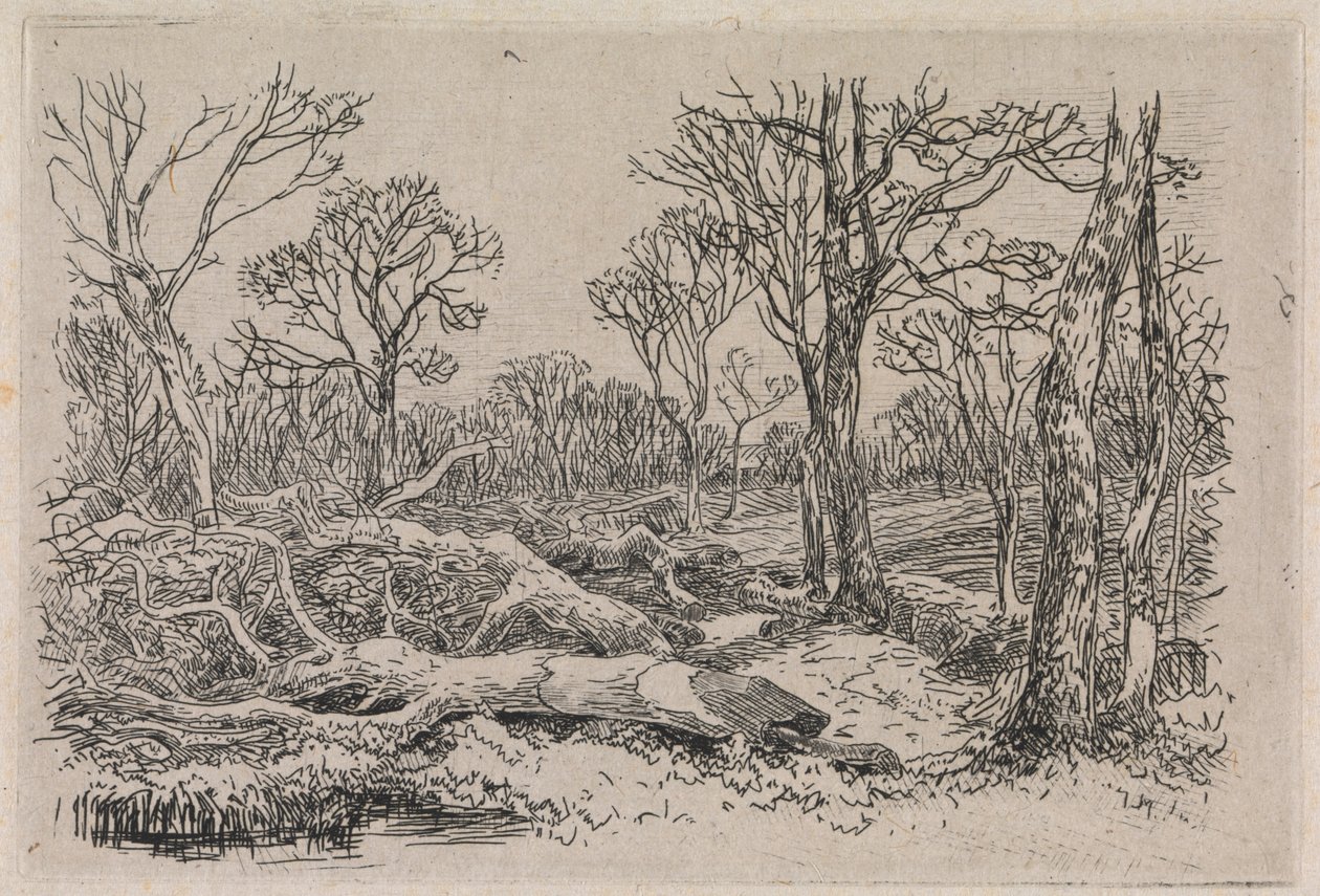 Fældet tømmer, Burningham af John Middleton