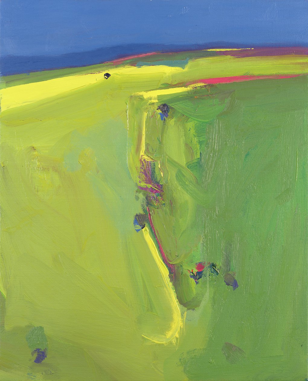 Summer Downs, 2000 af John Miller