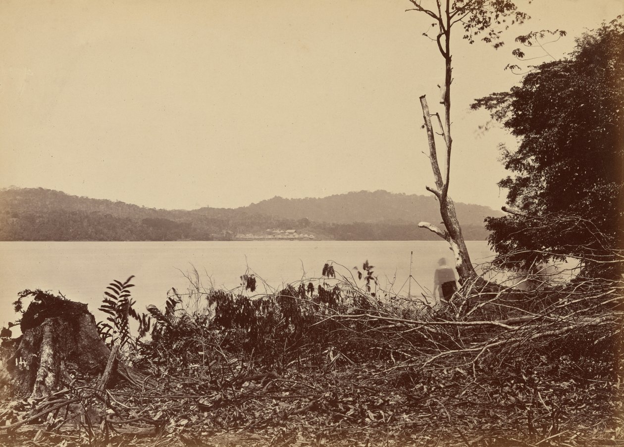 Darien Havn, Chipigana,1871 (foto) af John Moran