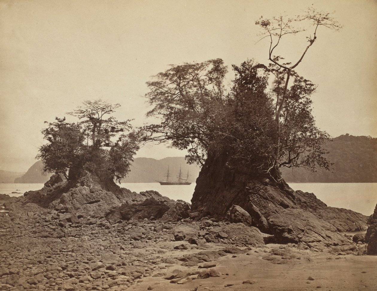 Øer i Lemon Bay, 1871. af John Moran