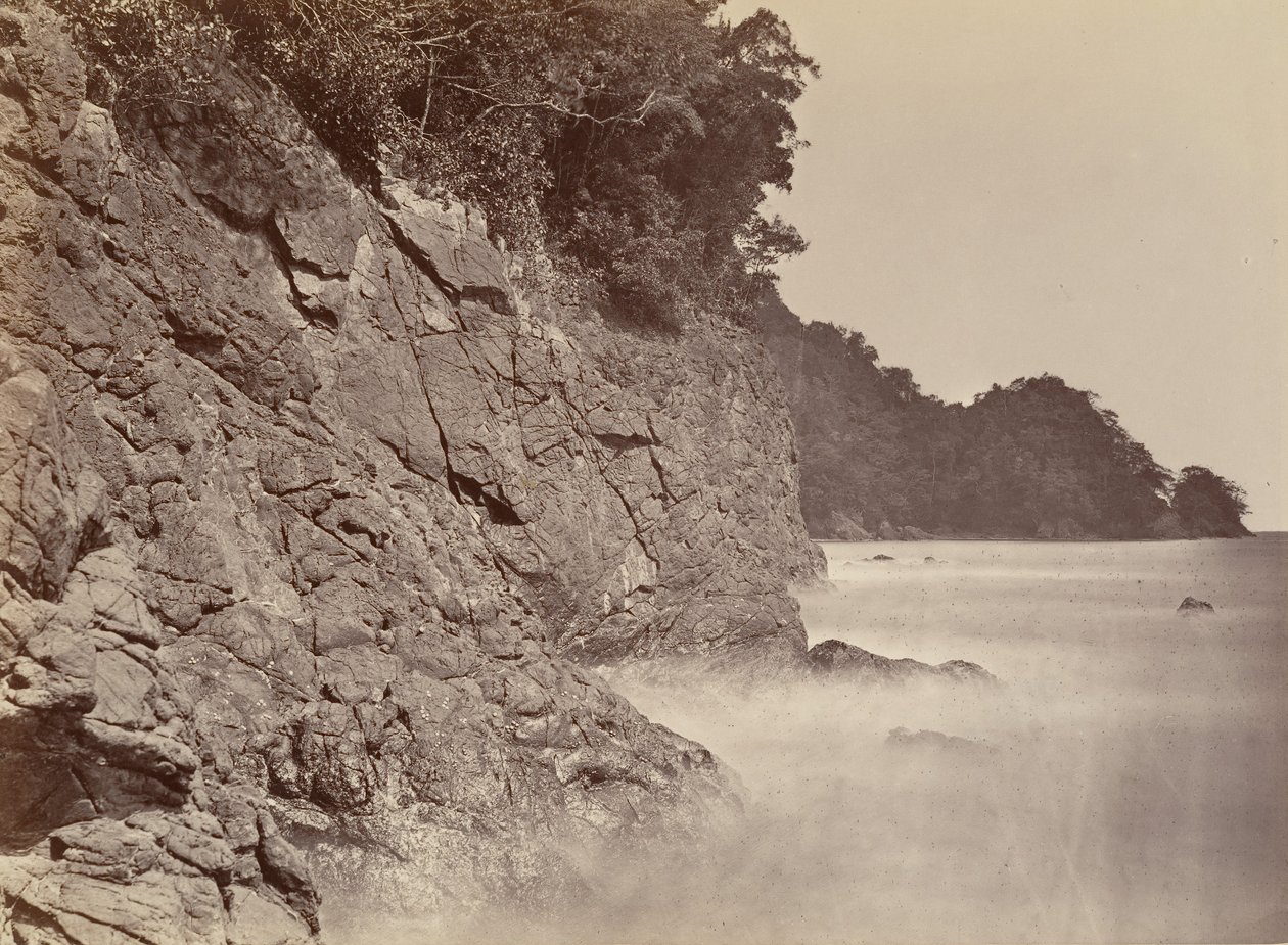 Tropisk landskab, Cliff - Limon Bay, 1871. af John Moran