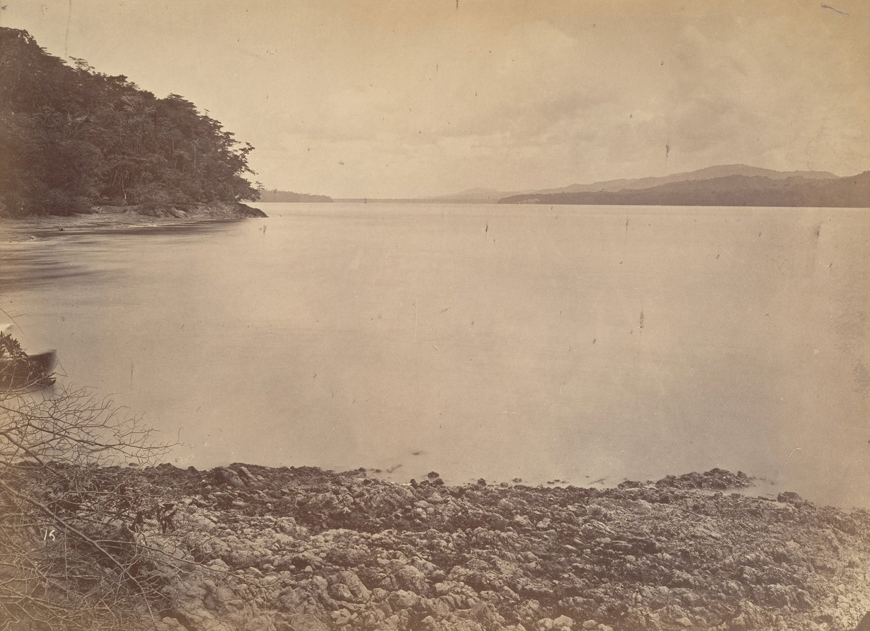 Tropical Scenery, Darien Harbour - Looking South, 1871. af John Moran