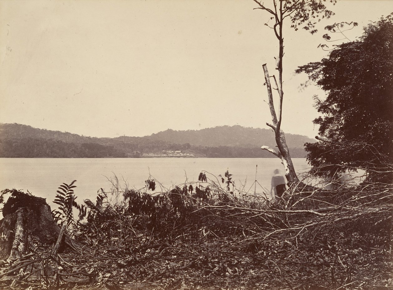 Tropisk landskab, Darien Harbour, Chipigana, 1871. af John Moran