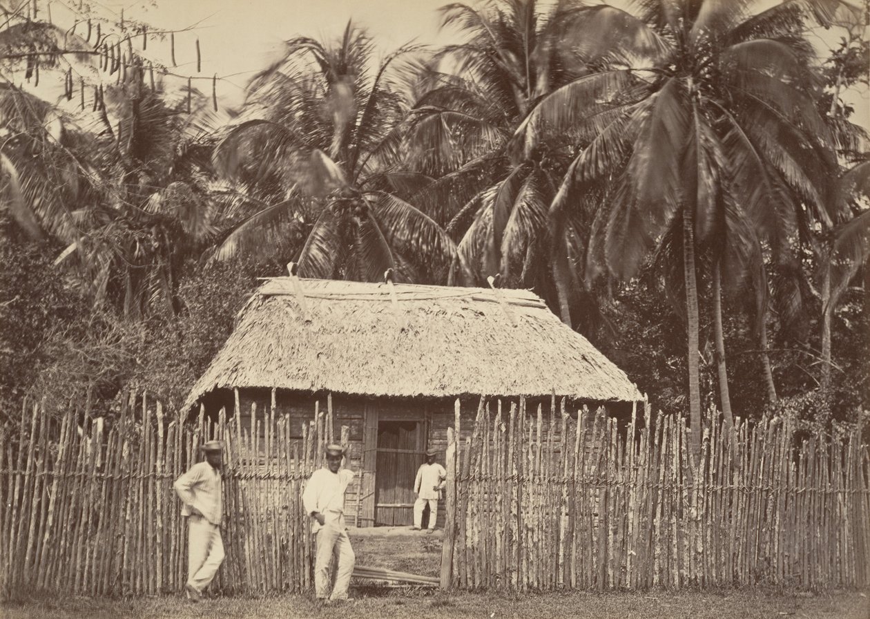 Tropisk landskab, Native Hut, Turbo, 1871. af John Moran