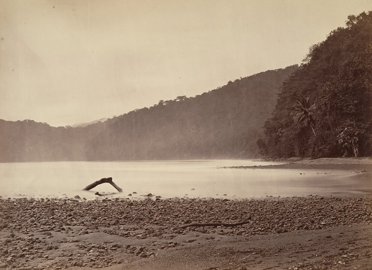 Tropisk landskab, endestationen af den foreslåede kanal, Limon Bay, 1871. af John Moran