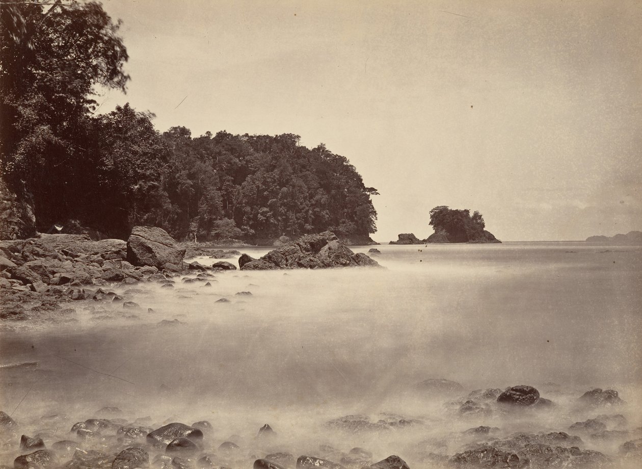 Tropisk landskab, udsigt over Limon Bay, 1871. af John Moran