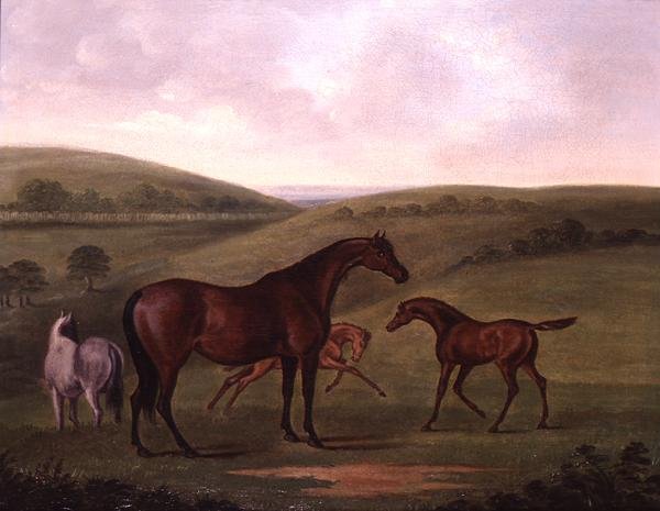 Hoppe med føl i et landskab (olie på lærred) af John Nott Sartorius