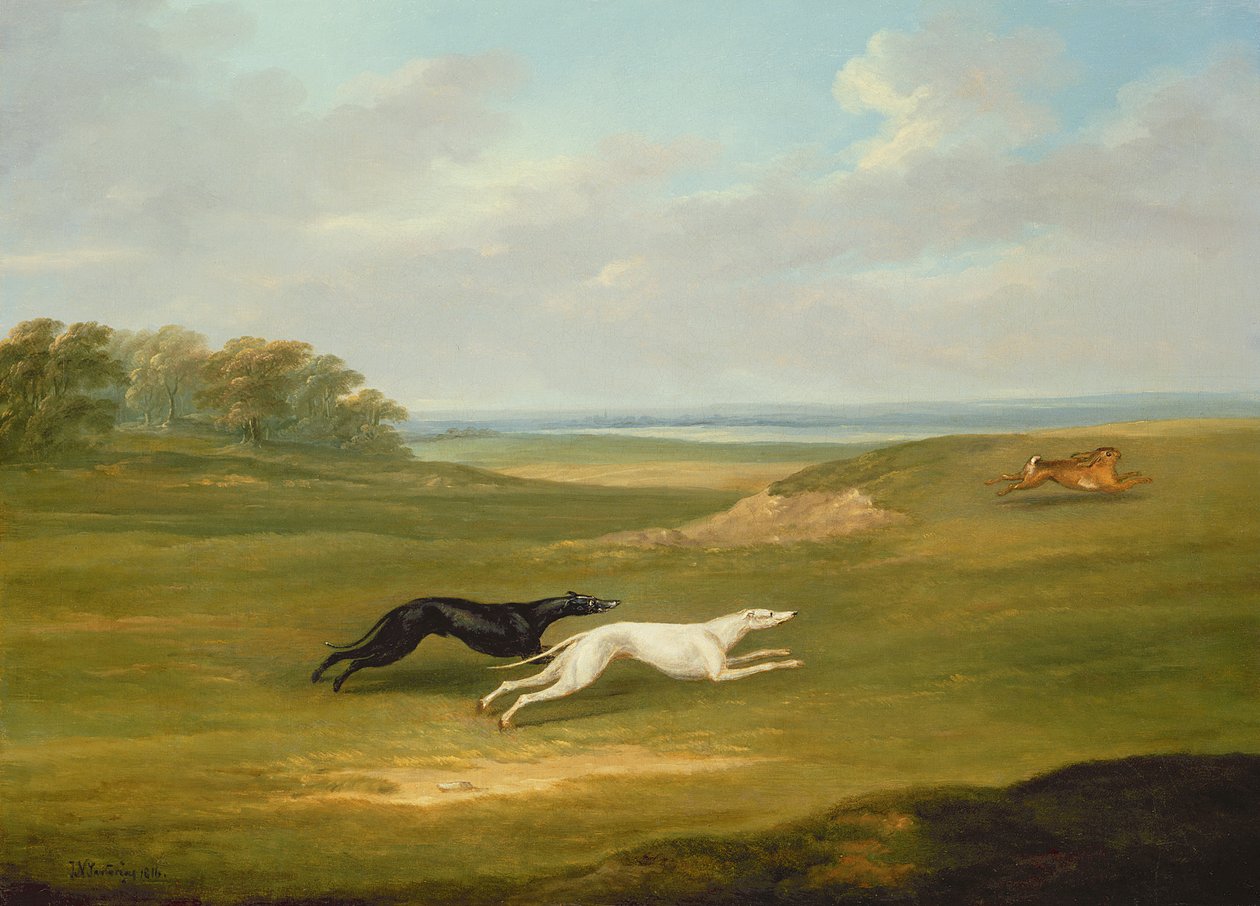 Løb, en Coursing-scene af John Nott Sartorius