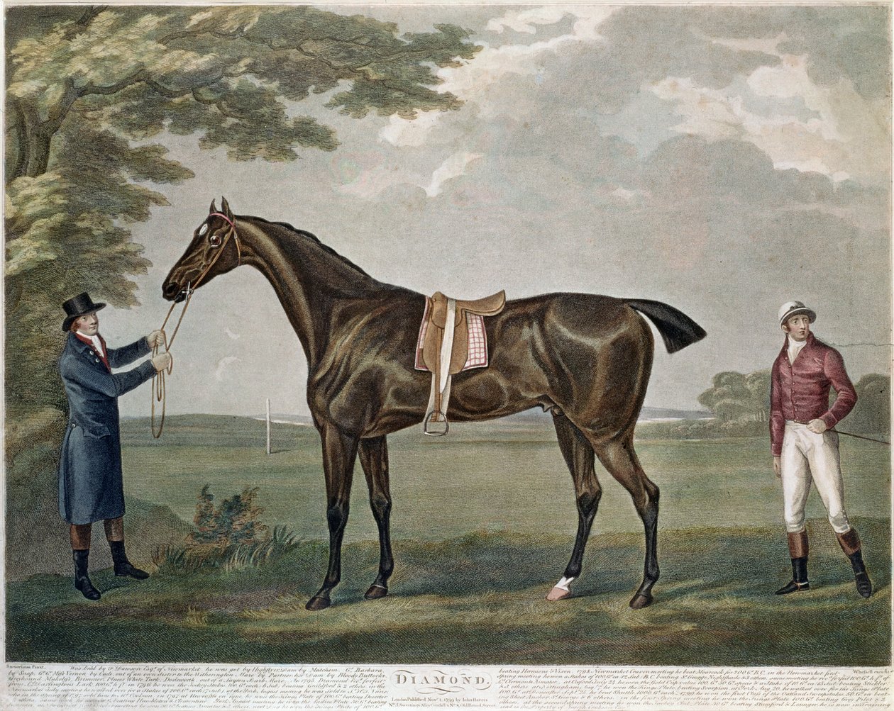 Væddeløbshestdiamanten, ca. 1799 af John Nott Sartorius