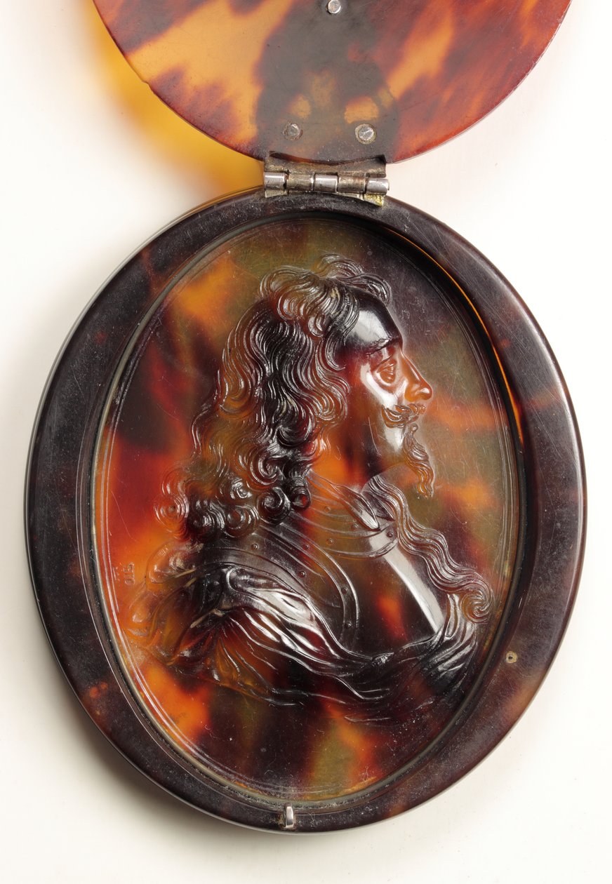 Charles I (skildpaddeskal) af John Obrisset