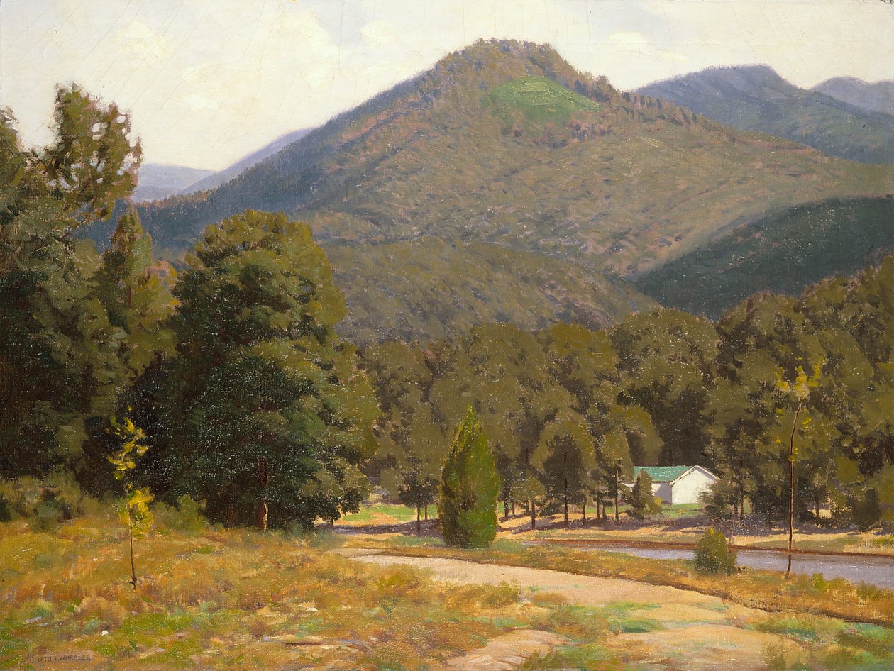 Figurstudie (Old Man) (olie på lærred) af John Otis Adams
