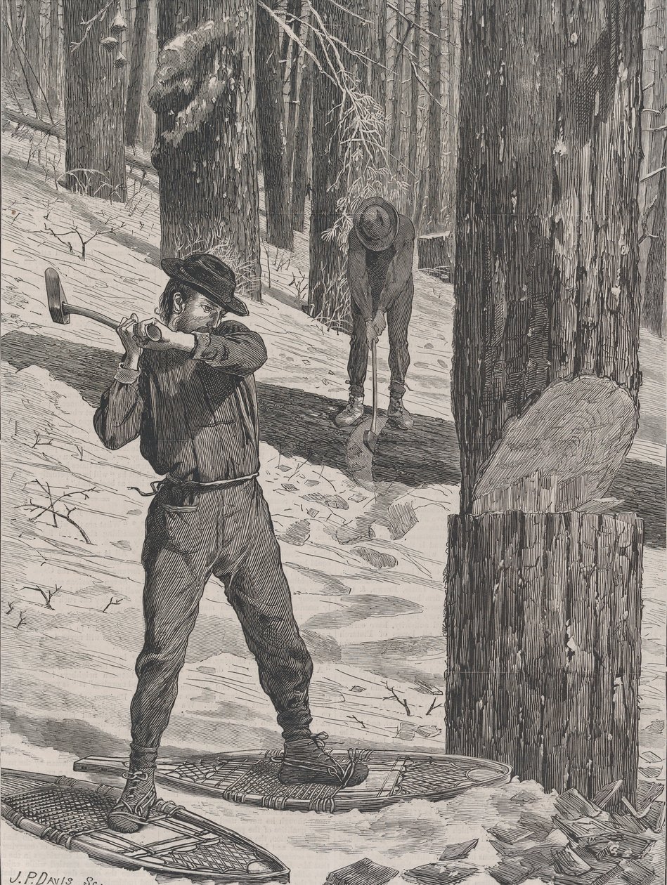 Tømmer om vinteren Hver lørdag, Vol. II, ny serie, 28. januar 1871. af John Parker Davis