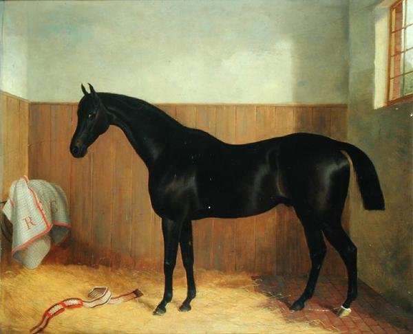 Tommy, Portrait of a Horse, ca. 1870