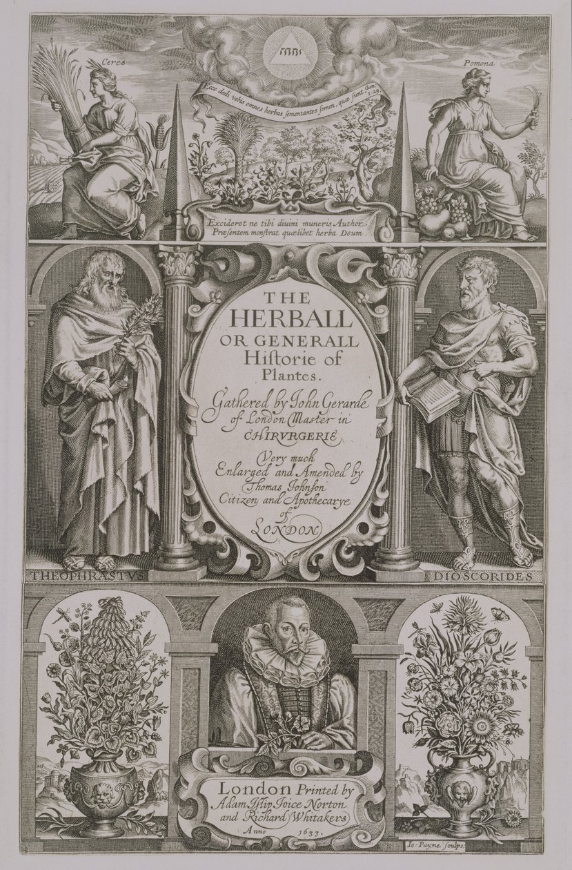 Titelside til anden udgave af The Herball af John Gerard (1564-1612) 1633 af John Payne