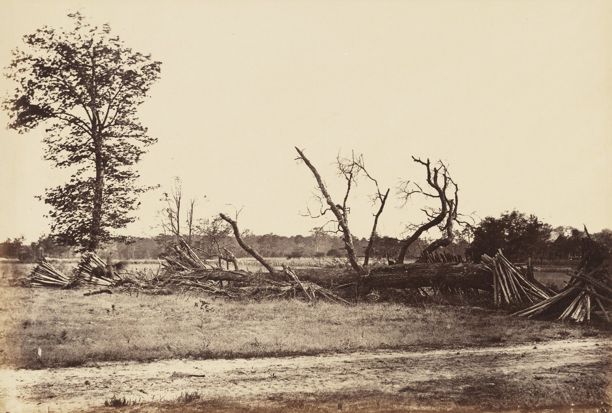 Extreme Line of Confederate Works, Cold Harbor., april 1865 (albumintryk monteret på vævet papir) af John Reekie