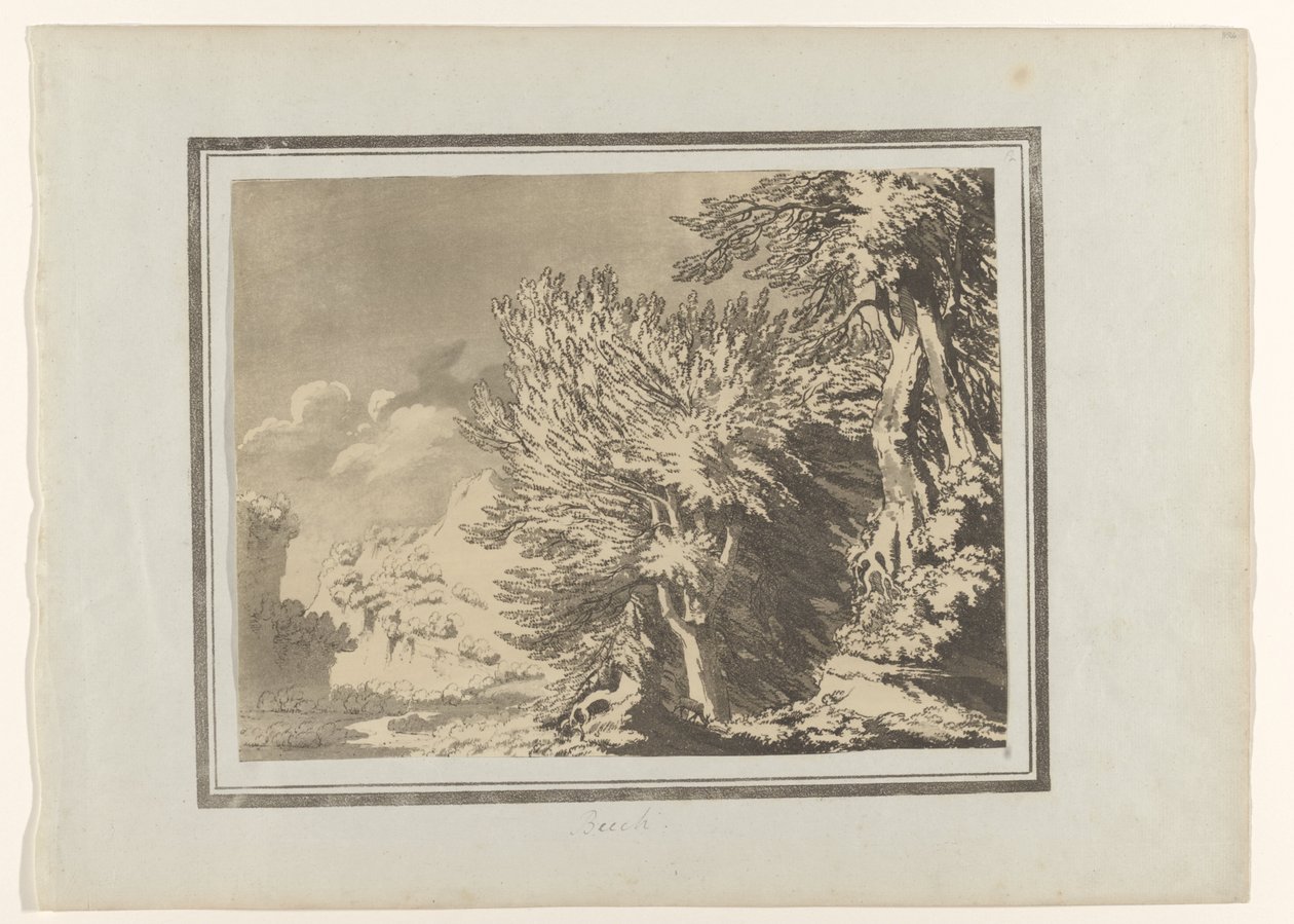 Beuk Bøg (titel på objekt) Verschillende soorten bomen (serietitel) Afgrænsninger af skovtræers generelle karakter, forgreninger og løv (serietitel) af John Robert Cozens