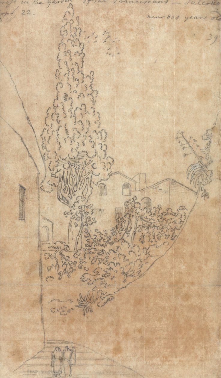 Cypres i franciskanernes have i Salerno af John Robert Cozens