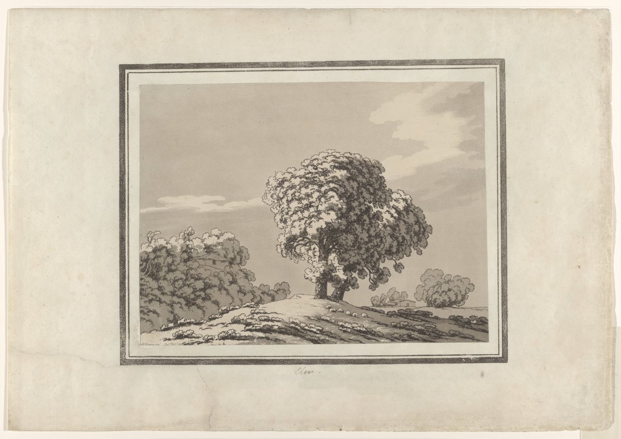 Elm af John Robert Cozens