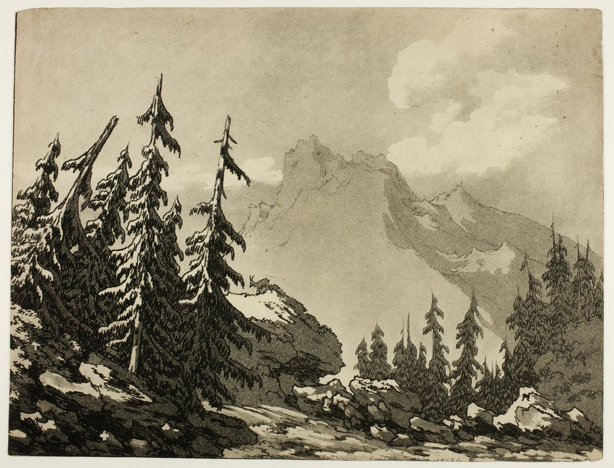 Fyrretræer i bjergene af John Robert Cozens