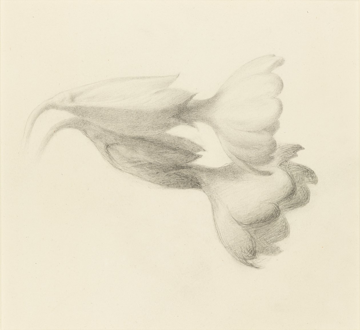 Cowslip Bells, sandsynligvis 1871. af John Ruskin
