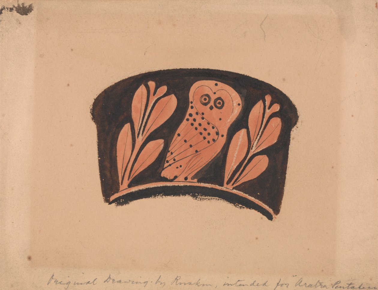 Ugle, Efter en Attic Kantharos af John Ruskin