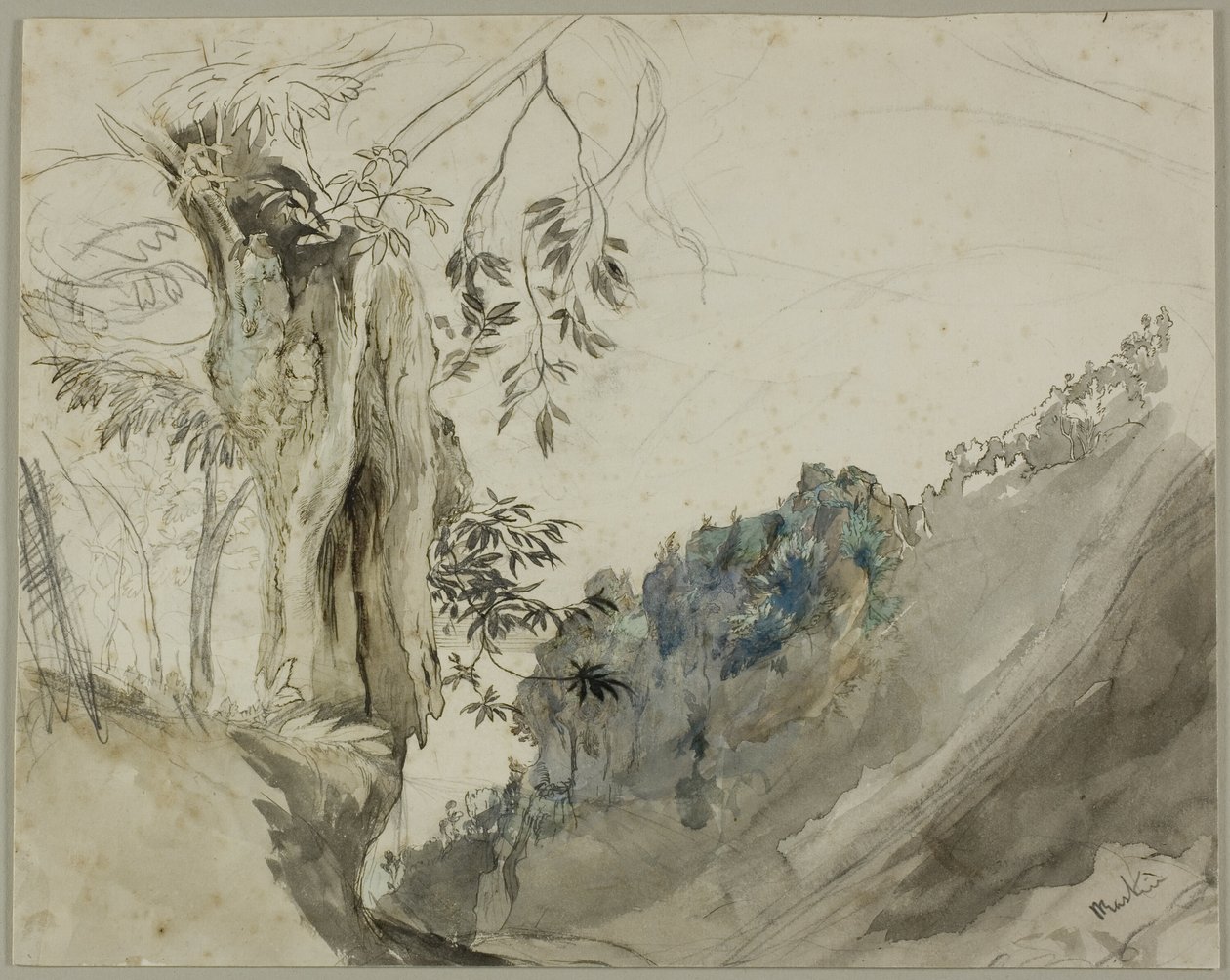 Spansk kastanje af John Ruskin