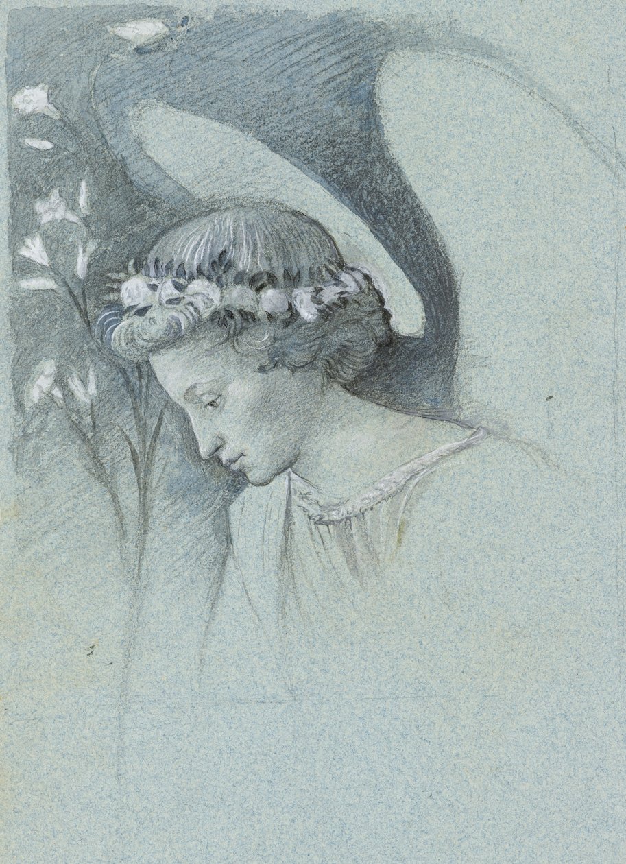 Studie af englen Gabriels hoved i Filippo Lippis 