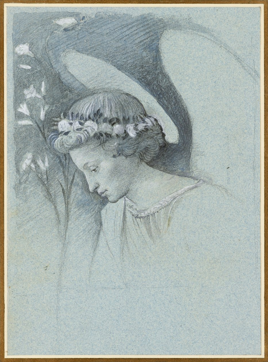 Studie af englen Gabriels hoved i Filippo Lippis 