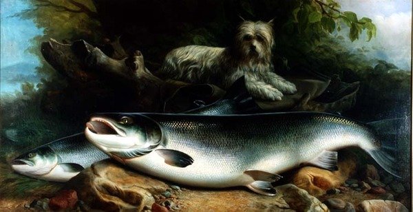 Bevogtning af Dagens Fangst; en Skye Terrier med en hane og høne laks af John Russell