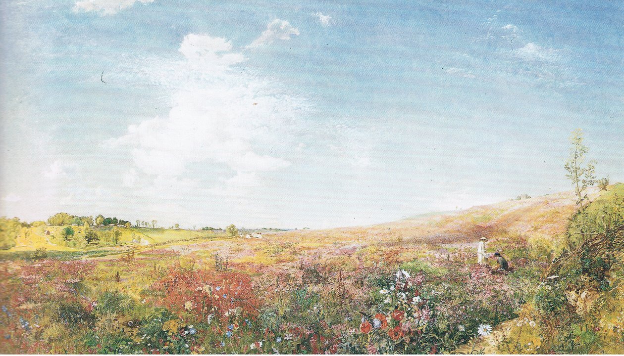 Sommerlandskab af John Samuel Raven