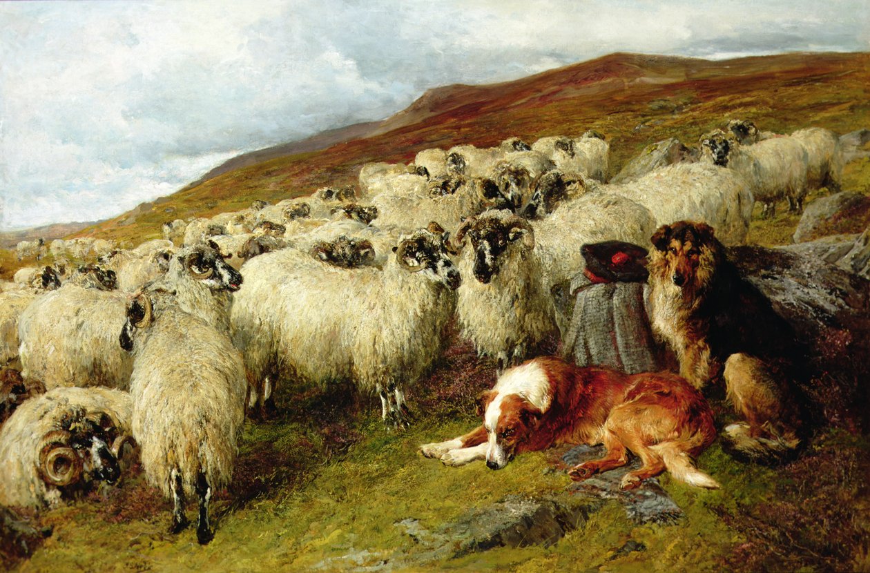 Træt, men vågen af John Sargent Noble