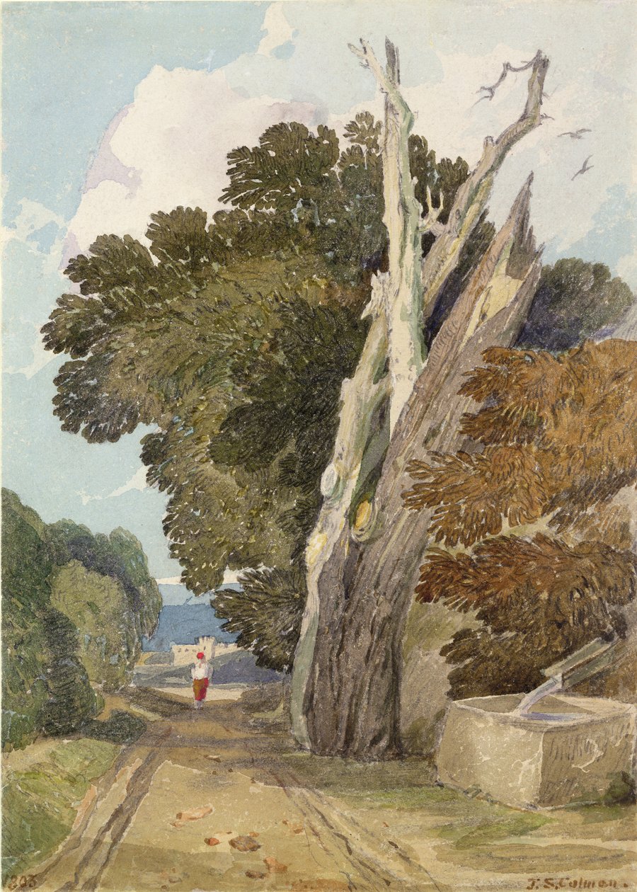 Et spansk kastanjetræ ramt af lynet (wc & blyant på papir) af John Sell Cotman