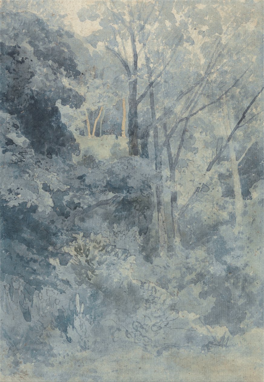 I Rokeby Park af John Sell Cotman