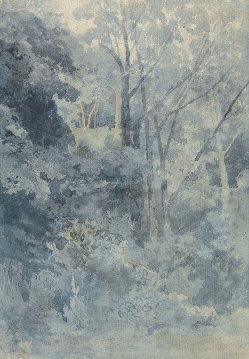 I Rokeby Park af John Sell Cotman