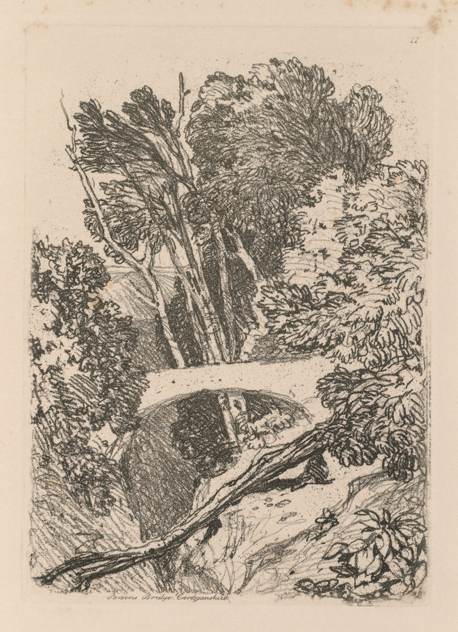 Liber Studiorum: Plade 11: Parsons Bridge, Cardingshire, 1838 af John Sell Cotman